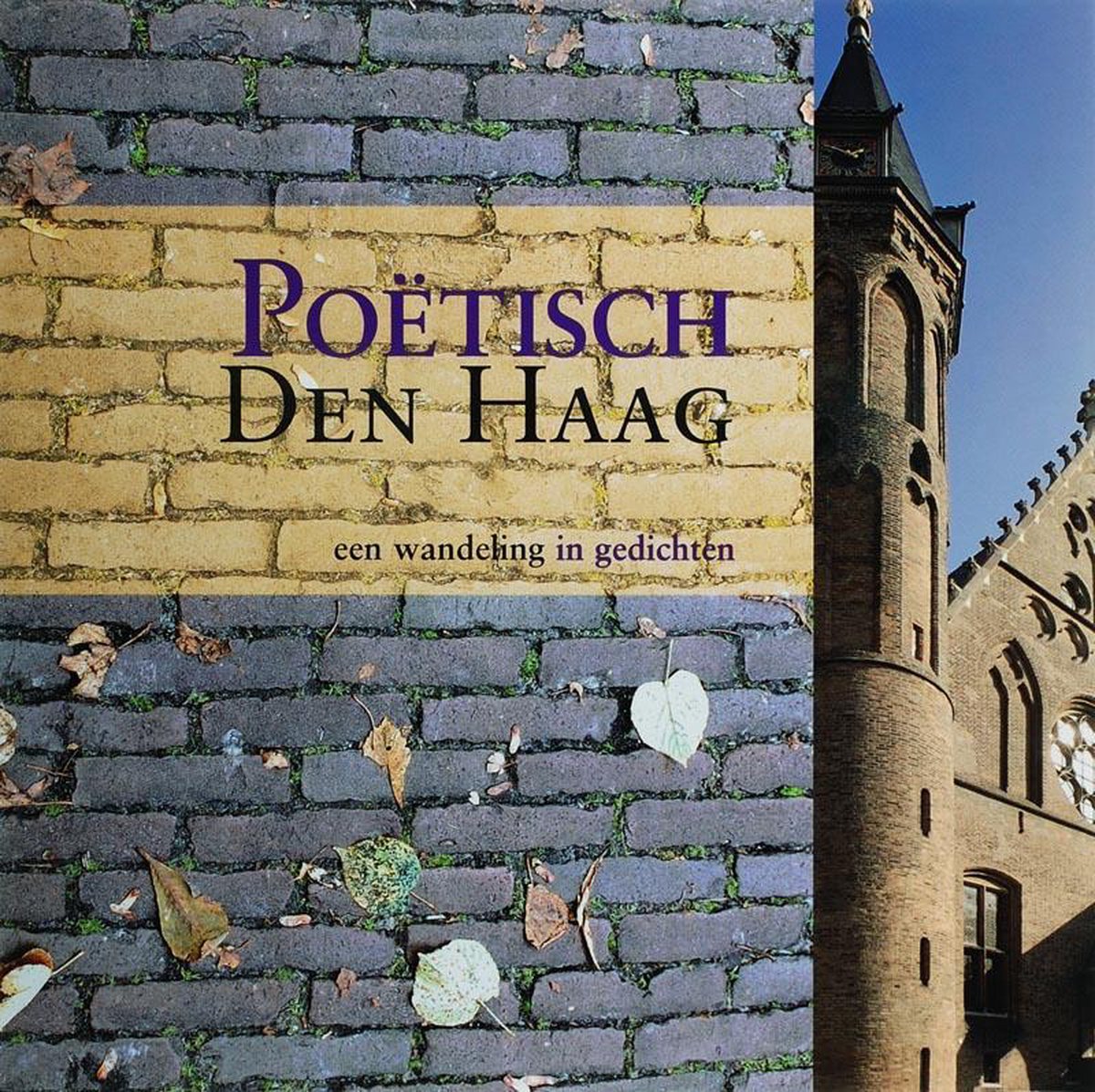 Poetisch Den Haag (Uitgeverij Kleine Uil)